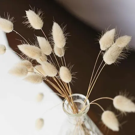 Maritime Between And Forest Longeville-sur-Mer