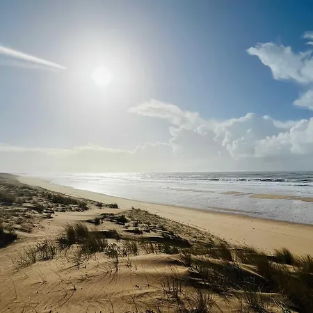 Maritime Between And Forest Villa Longeville-sur-Mer