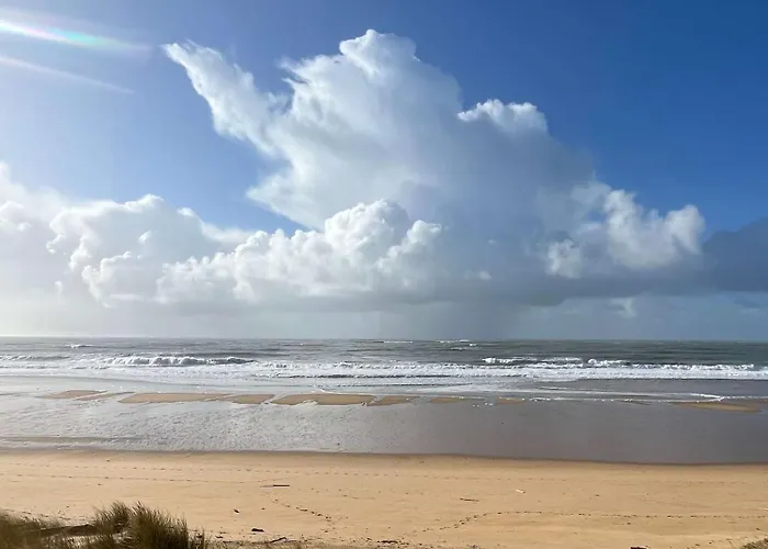 Maritime Between And Forest * Longeville-sur-Mer