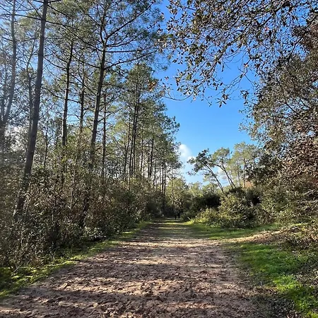Maritime Between And Forest 빌라 롱주빌 쉬르메르