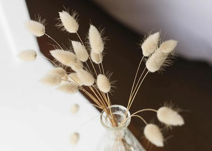 Maritime Between And Forest